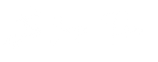 Logo Jorge Todero terapia e psicoterapia online